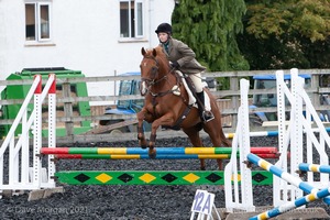 Class 5 - Fences not above 2'6